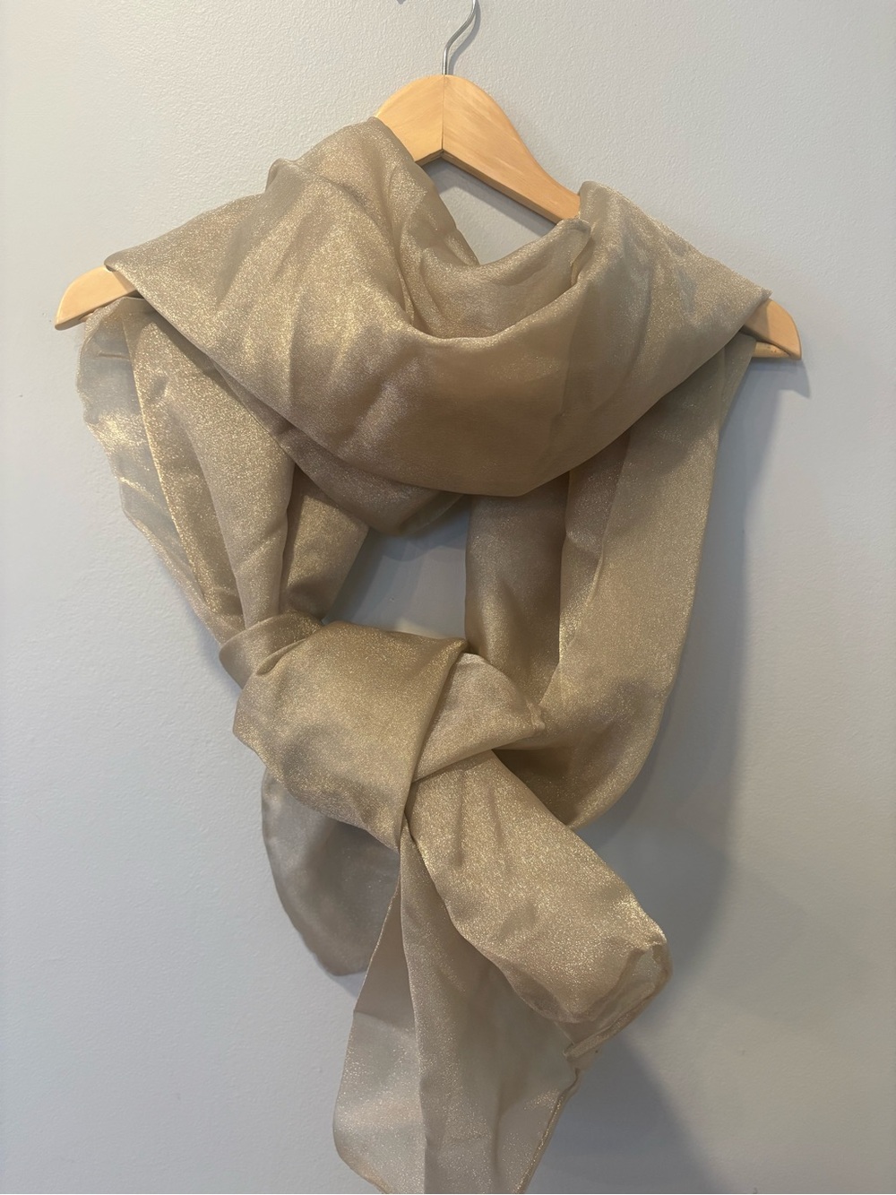 Gold Champagne Sheer Shimmer Scarf - Shawl Wrap